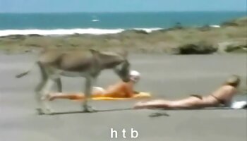 Cocksucking engolido vídeo pornô com morena bem gostosa combinando com Lexi e Rebel
