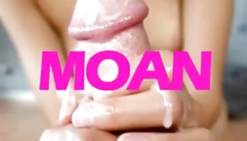 safári sexual de jipe quero ver um filme pornô bem gostoso ​​africano selvagem