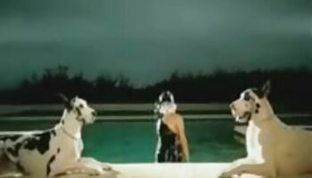 The Feather Fluffing Pillow vídeo pornô bem gostosa Humper é fodido